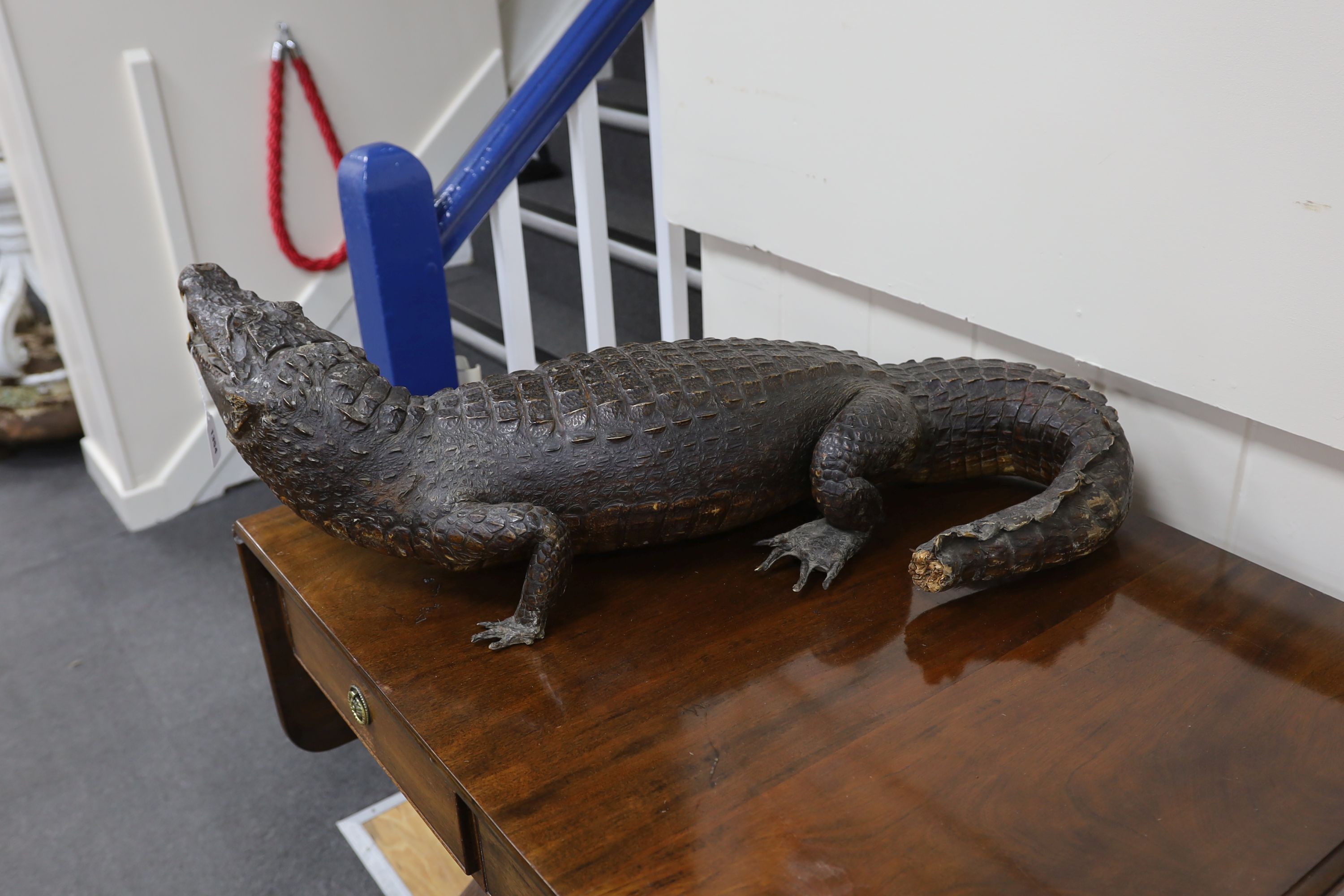 A taxidermy late 19th century Nile crocodile, approximately 92cm long